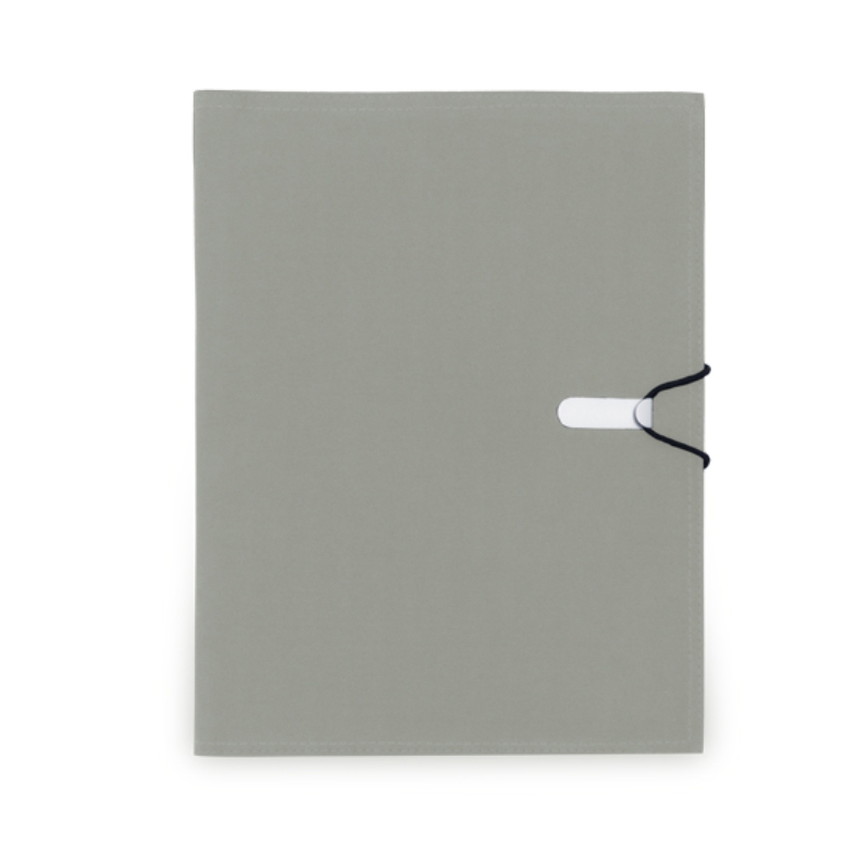 PORTFOLIO EXECUTIVE